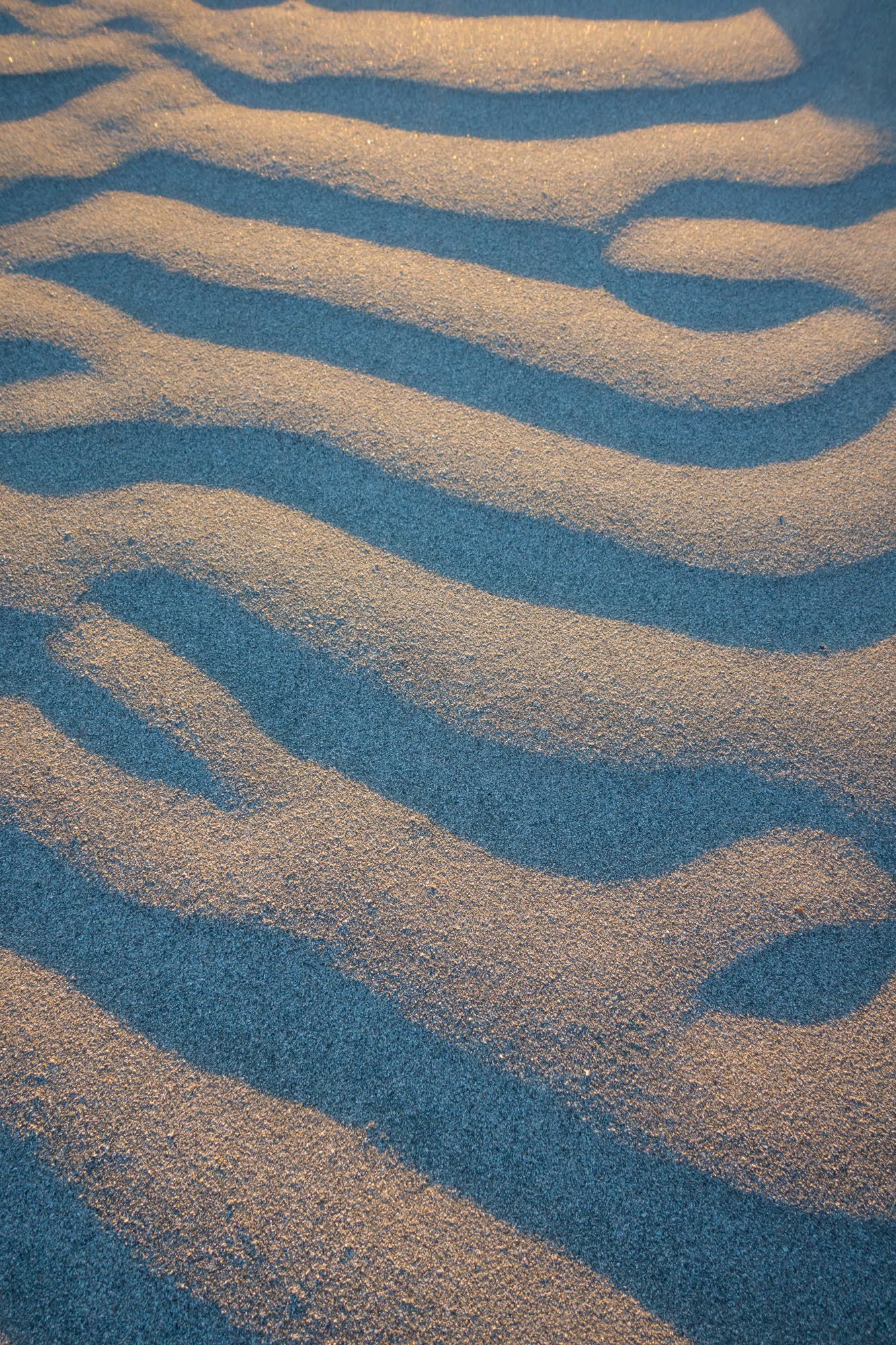 Golden Dunes