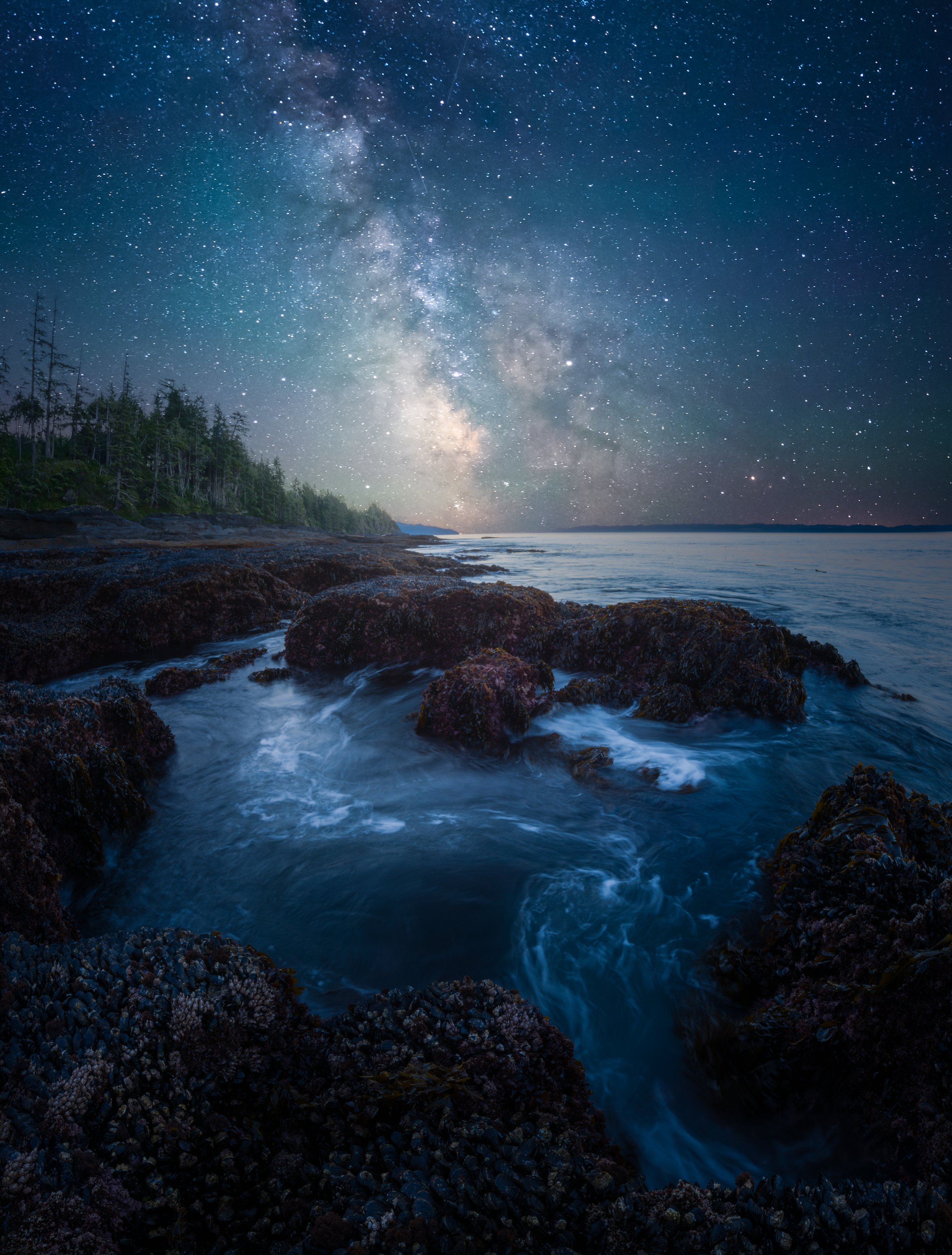 Intertidal Cosmos