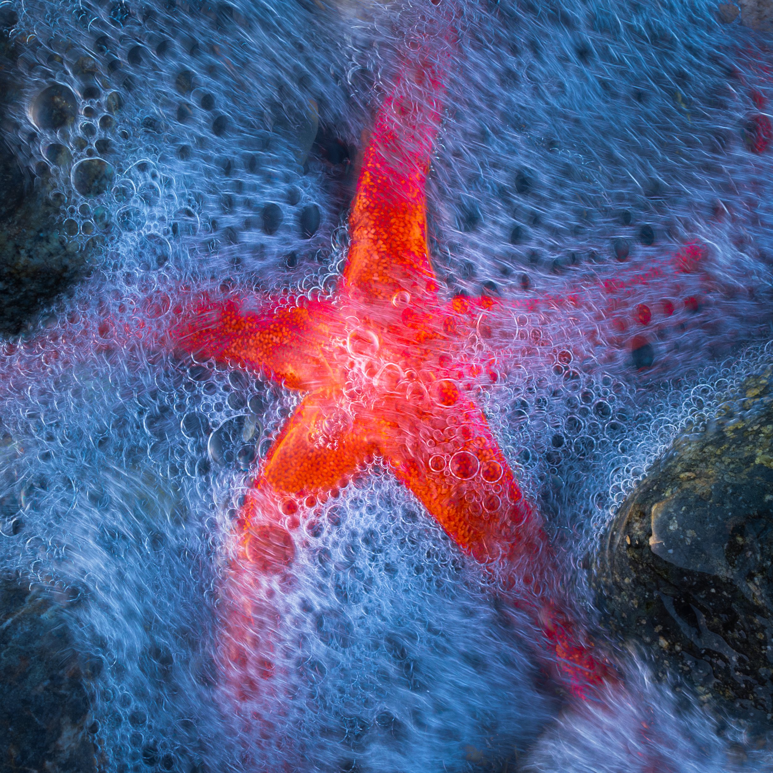 Star in the Surge
