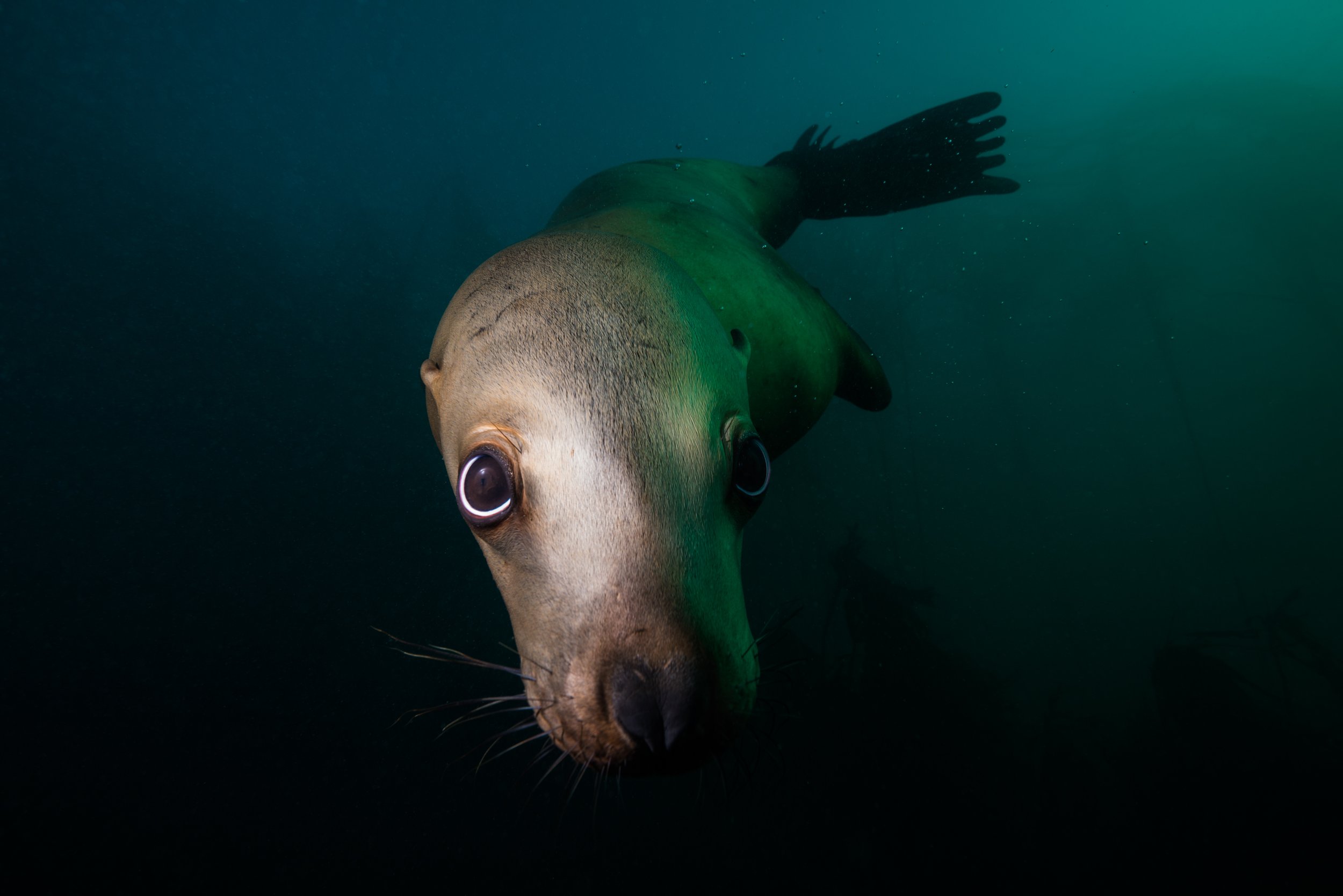 The Depths