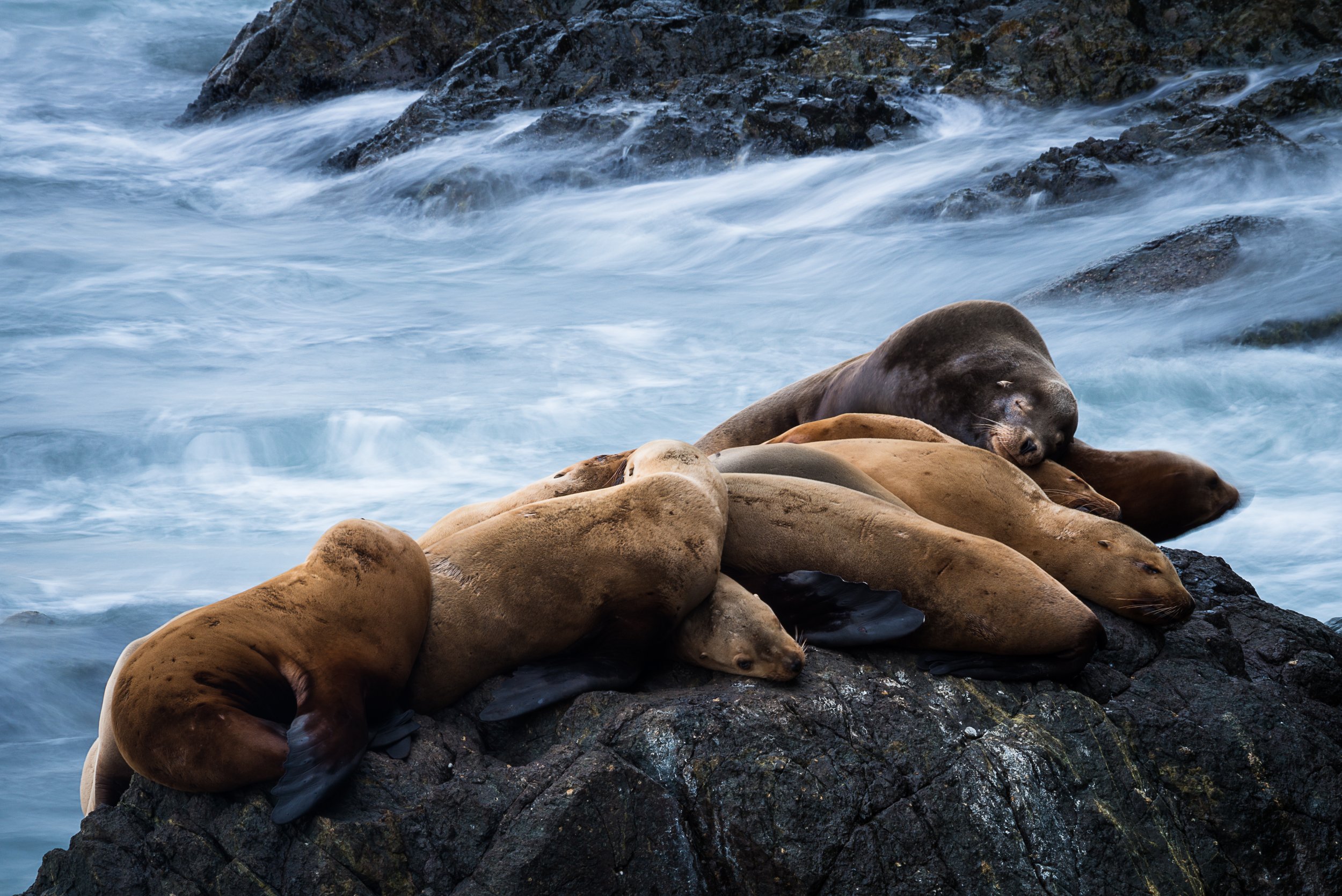 Tidal Slumber